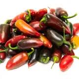 Afbeeldingsresultaat voor biker billy jalapeno hot pepper