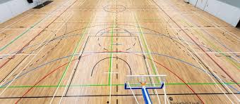 Image result for Britannia Badminton Club