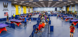 Image result for Table Tennis