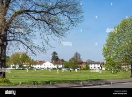 Image result for Thames Ditton Cricket Club