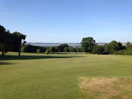 Image result for Flint Golf Club