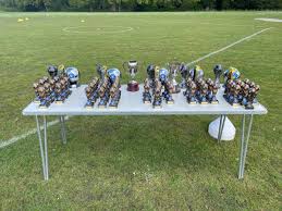 Image result for Milford Pumas Football Club