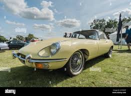 Image result for Pale Primrose 1965 Jaguar