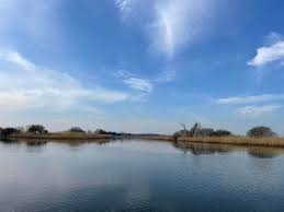 Image result for Lowestoft Rowing Club