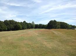Image result for Brokenhurst Manor Golf Club