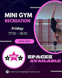 Image result for Harrogate School Of Gymnastics