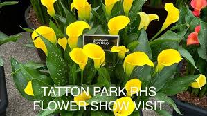 Image result for The Tatton Club