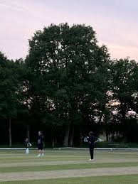Image result for Valley End Cricket Club