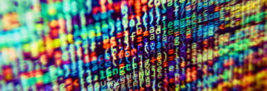 Image result for Dacorum Wildcards