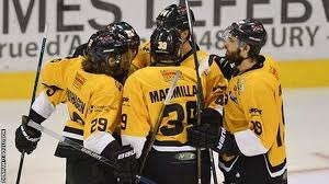 Image result for Nottingham Panthers