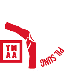 Image result for middlesbrough karate academy