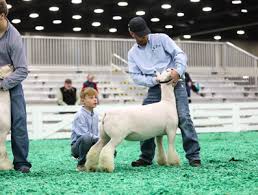 Image result for Southdown Club