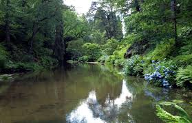 Image result for Colwyn Bay Cc