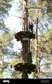 Image result for Go Ape! Alice Holt