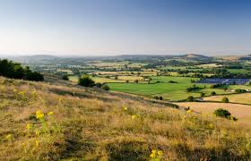 Image result for Wellworthy Indoor Bowls Club