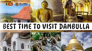 Image result for Дамбулла