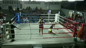 Image result for Huddersfield Thai Boxing Club