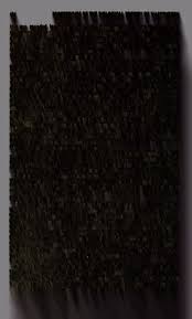 「カリーナ・モク DARKER THAN BLACK -黒の契約者-」の画像検索結果