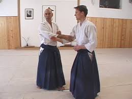 Image result for Aikido - Shobu UK