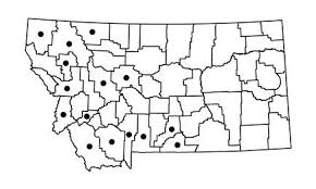 Attēlu rezultāti vaicājumam “Pohlia sphagnicola”
