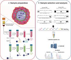 Attēlu rezultāti vaicājumam “Enteridium variabile plasmodium”