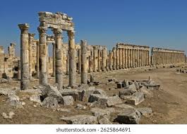 Attēlu rezultāti vaicājumam “Apamea ophiogramma”