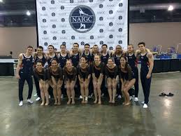Image result for Ingleby Gymnastics Club