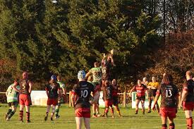 Image result for WOODRUSH RFC MINI and JUNIOR ~ & Senior