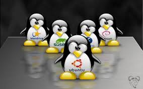 Image result for linux penguin