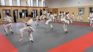 Image result for Seiki Juku Karate Organisation
