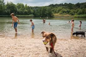 Image result for Southwater Bowls Club