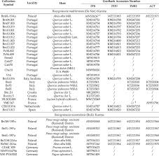 Attēlu rezultāti vaicājumam “Biscogniauxia granmoi”