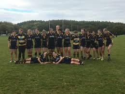 Image result for Worcester Rugby Football Club