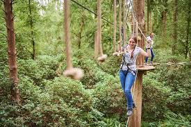 Image result for Go Ape! Thetford
