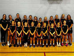 Image result for Hertford Hornets Netball Club