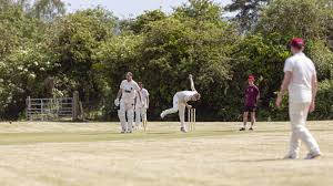 Image result for All Cannings Cricket Club