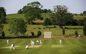 Image result for Battle Cricket Club