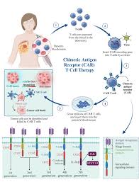 Image result for badalini tehron