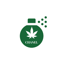 Resultado de imagen para la marihuana channel