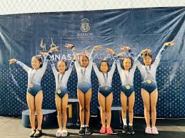Image result for Harrow School Of Gymnastics
