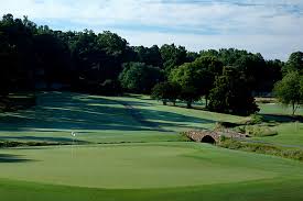 Image result for Gosfield CC