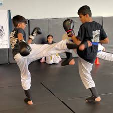 Image result for Surrey Ju - Jitsu Kick Boxing Club
