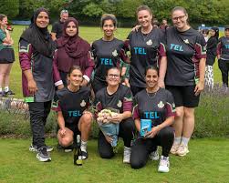Image result for Ifield Cricket Club