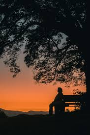 Image result for FOTO DE PAZ