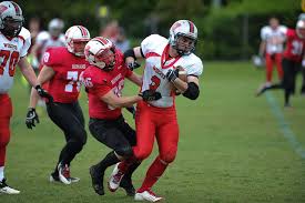 Image result for Edinburgh Wolves