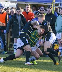 Image result for Askam Amateur Rugby League Club