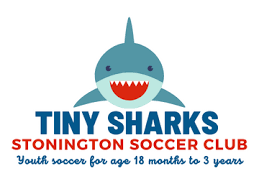 Image result for London Sharks Floorball Club