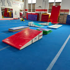 Image result for Sudbury Gymnastics Club