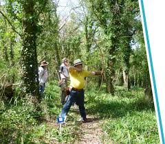 Image result for Osprey Archery Club