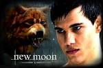 Jacob Black - New moon